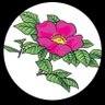 ギーさん's profile picture