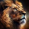 Profilbild von IAMKONGO