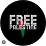 United We Stand 🇵🇸🇮🇪✊🏾✊🏿🏳️🌈's profile picture