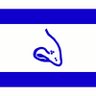 super anti-semite's profile picture