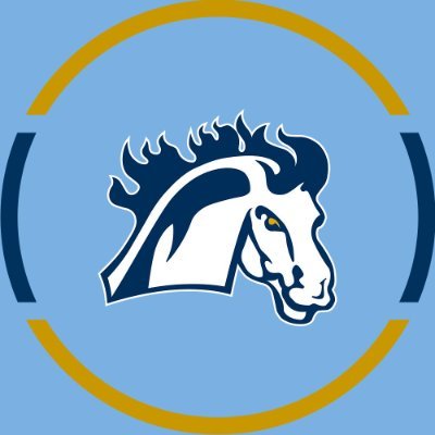 Mount Mercy Mustangs's profile picture