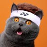 Evil Caspurr 的头像