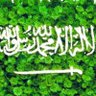 السعودية العظمى 🇸🇦⚔️🇸🇦's profile picture