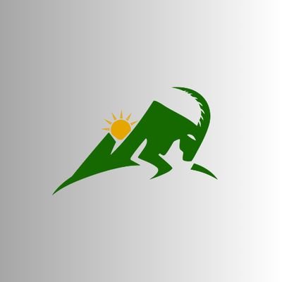 Çewlik.net's profile picture