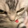 Profilbild von emilka | Kieran Langham eraโฝ๏ธ