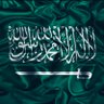 فايز القاتوله🇸🇦 的头像
