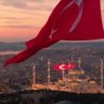 Hasan Hamamcı 的头像