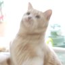 ずん🐟 profil fotoğrafı