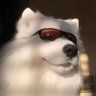 Profilbild von ClaraCora