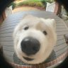 éFalkezz profil fotoğrafı