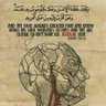 زيادالسعداوي's profile picture