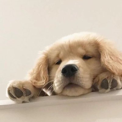 wjtayyyy_'s profile picture