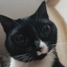 Gabriel F S profil fotoğrafı