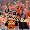 Under Bradswood 的头像