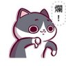 Baibai Zhang's profile picture