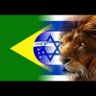 Leila Nogueira's profile picture