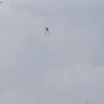 Фото профиля Spider