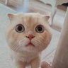Ömer's profile picture