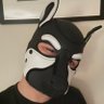 ARKPup profil fotoğrafı