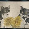 Profilbild von 帰ってきた黒猫🐈‍⬛✨