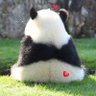 てんchan1031 的头像