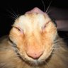 Rhys's profile picture