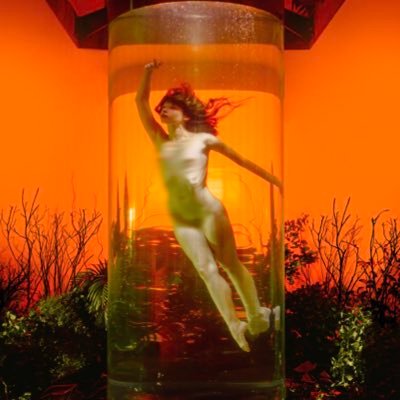 Elektra โก๏ธ's profile picture