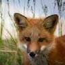 Фото профиля Concerned Canadian Citizen 🇨🇦