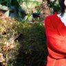 たこ's profile picture