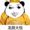 呜啦啦 的头像