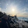 Forrest profil fotoğrafı