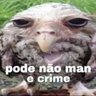 Gustavo profil fotoğrafı