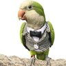 Z.L.'s profile picture