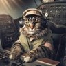 HeyNav🇺🇸🦅 - Major, USAF, Retired profil fotoğrafı