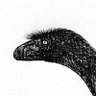 theropoderillus's profile picture