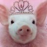 Octronia's profile picture