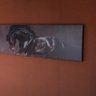 M'esclatarà el cervell. profil fotoğrafı