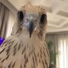 مُـنى العرادي #2030 🇸🇦 的头像