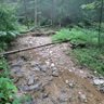 Saltychik profil fotoğrafı