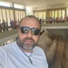 Mohamed Samy Fayed's profile picture