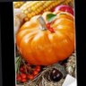 onurca profil fotoğrafı