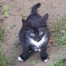 Alecotam's profile picture