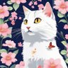 クロ's profile picture