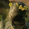 Mr. Canary's profile picture