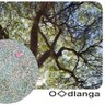 O.dlanga 的头像