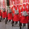 化け猫(お寺神社の御朱印情報以外はお断り) 的头像