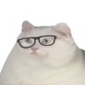 Profilbild von 上推就是为了看黄