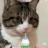 Profilbild von jake