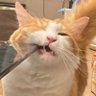 Profilbild von あ
