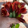 MBV profil fotoğrafı